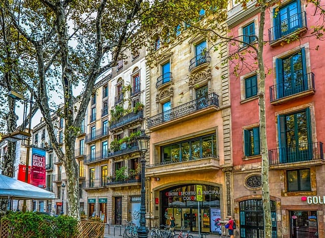 A tree lined city boulevard with balconied apartment buildings