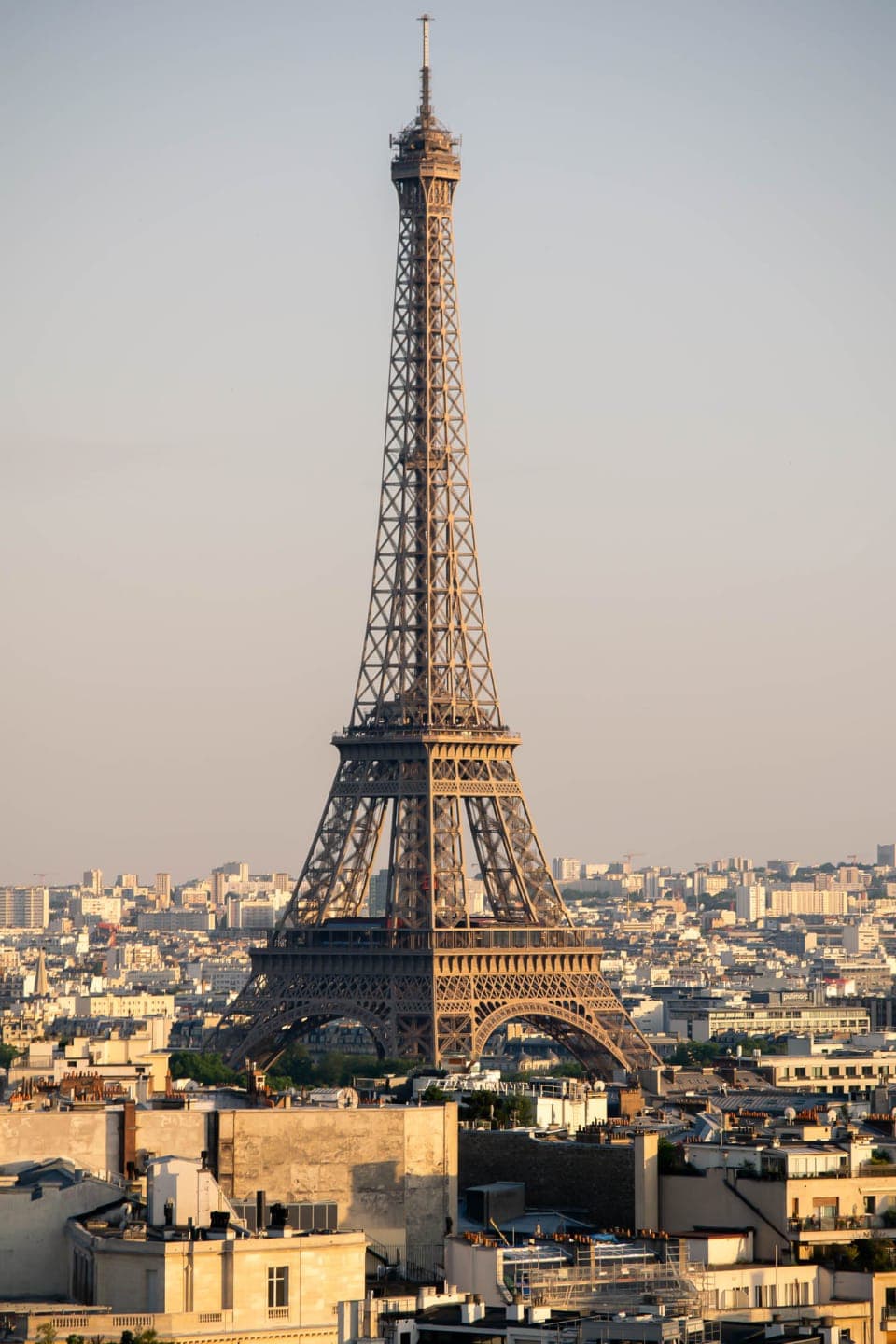 The Eiffel Tower rising above the rooftops of Paris at golden hour