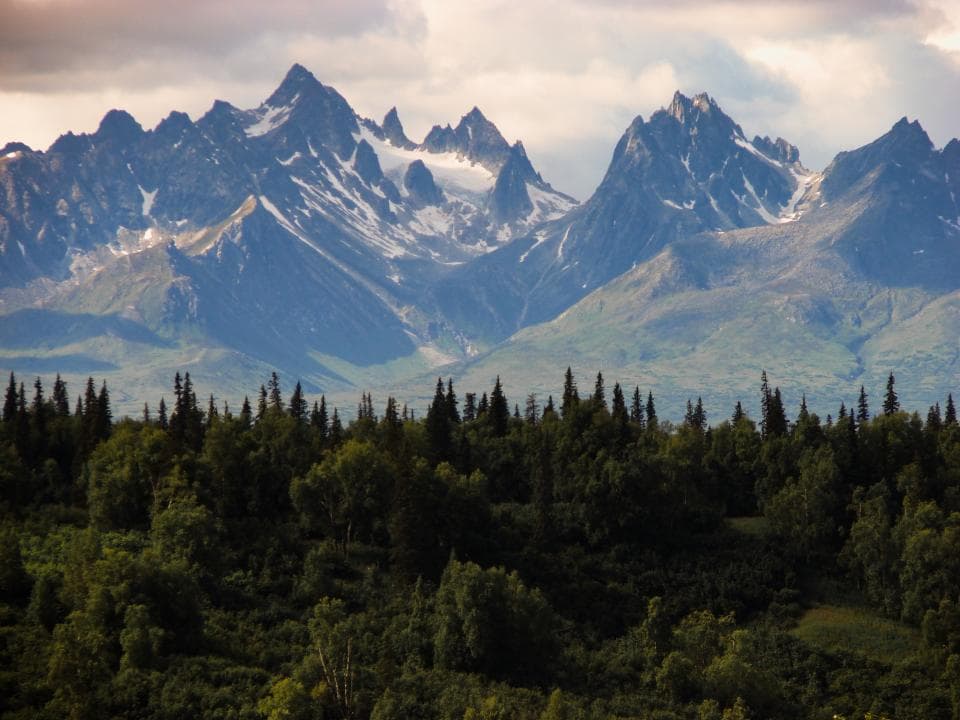 Snow capped mountain peaks rising above a spruce forest