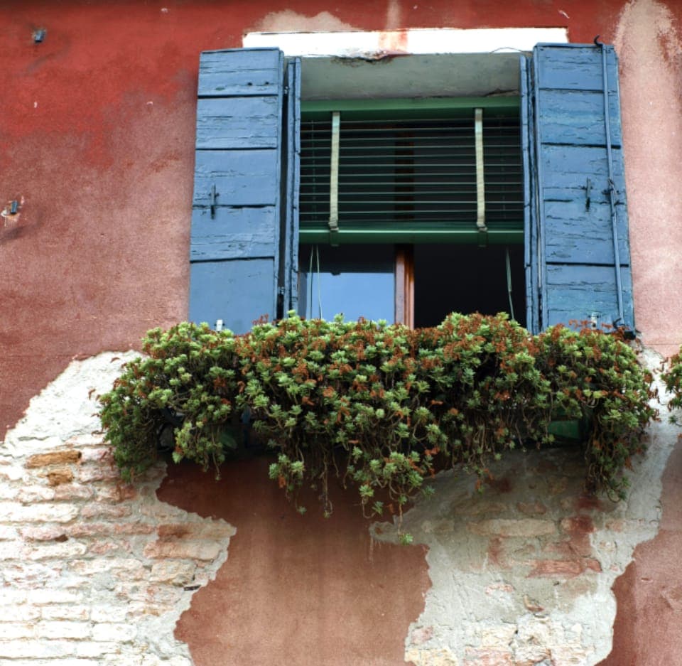 Weathered blue shutters and a window box on a peeling stucco wall