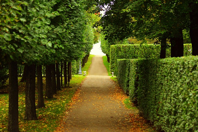 D. Scott Carruthers Shares His Top Fall Travel Destinations